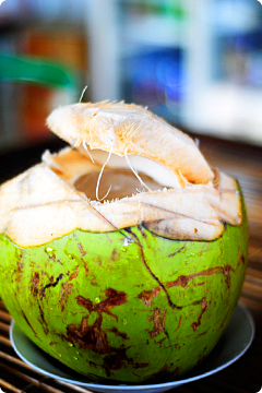 Jonge kokosnoot (es Kelapa muda)