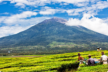 Kerinci Seblat National Park